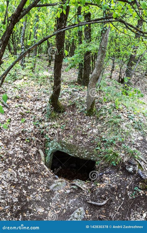 Entrance To the Cave Hidden in the Woods Stock Photo - Image of hidden ...