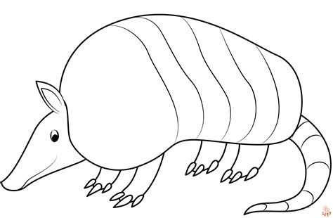 Çocuklar ve Yetişkinler İçin Ücretsiz Yazdırılabilir Armadillo Boyama ...