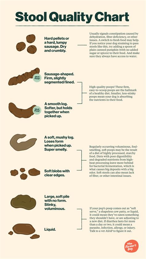 Stool Quality Chart For Dog Poop