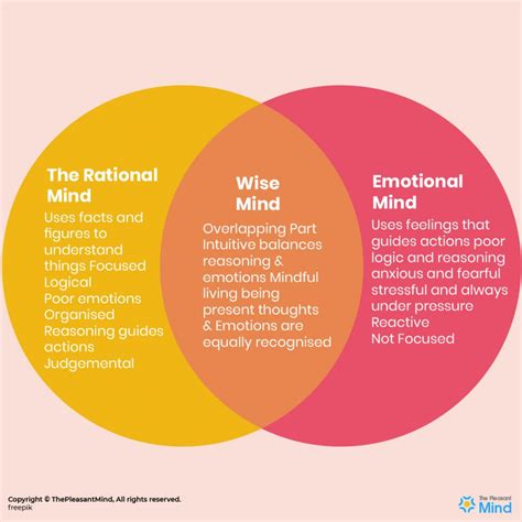 What is a Wise Mind and How to Find Yours? | ThePleasantMind