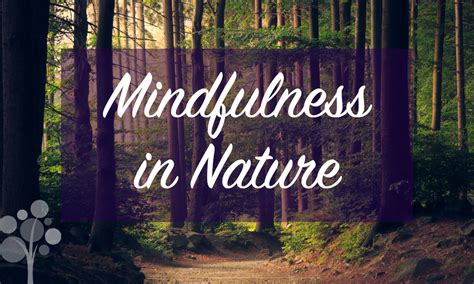 Mindfulness in Nature - JMU