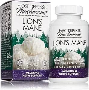 The Ultimate Buying Guide for Lion's Mane Supplements: Benefits, Types ...