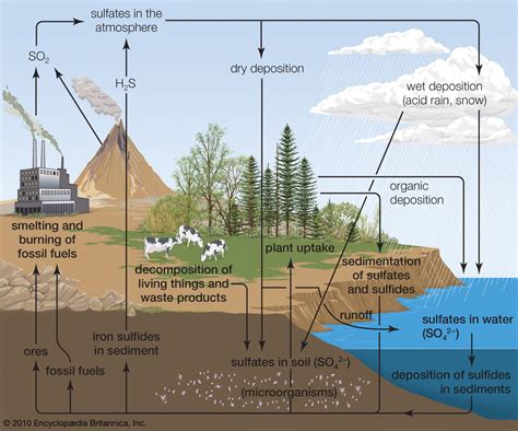 Acid rain - Chemistry, Pollutants, Effects | Britannica