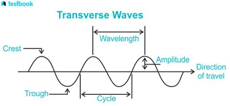 Transverse Wave: Definition, Examples, Characteristics, Uses