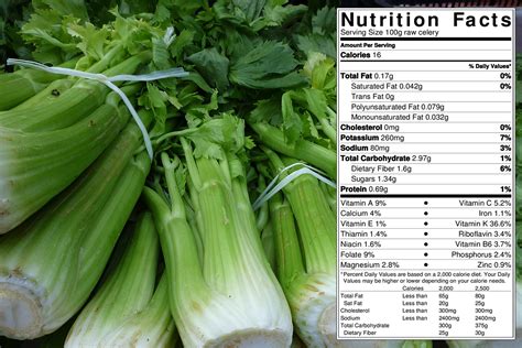 Celery: Fun Food Facts | FoodnSport: Home of The 80/10/10 Diet by Dr ...