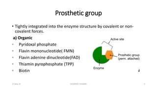 Cofactors, coenzymes and prosthetic group | PPT