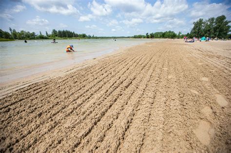 Birds Hill goose poop puts stain on Manitoba parks: beach-goers ...