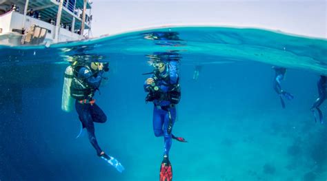 Scuba diving Great Barrier Reef best day and liveaboards tours