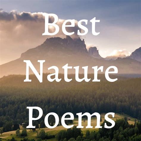 10 of the Best Nature Poems Every Poetry Lover Must Read