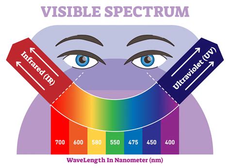 Visible Spectrum Color Wheel