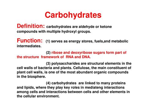 Carbohydrates Function