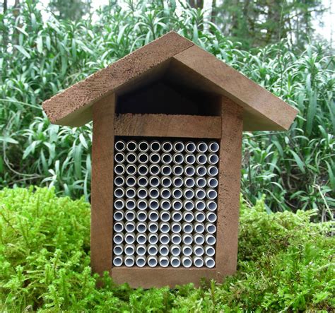 Mason Bee House Plans: How To Create A Safe Haven For Pollinators ...