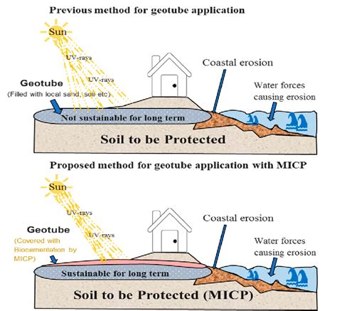 Coastal Erosion Prevention