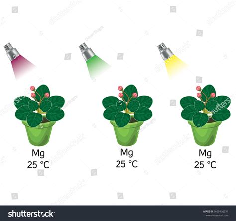 21,235 Light Reactions Images, Stock Photos & Vectors | Shutterstock