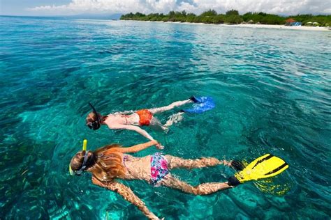 Cozumel Snorkeling Guide for November 2022 | Island Life Mexico