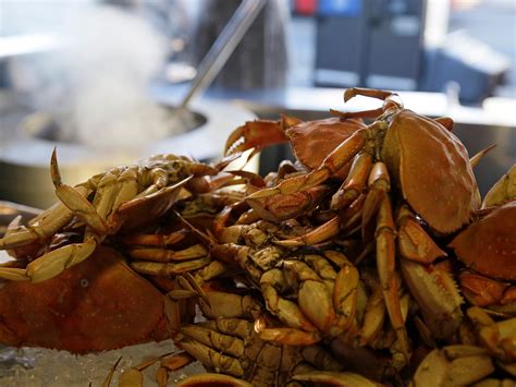 Billions of snow crabs have disappeared from Alaska waters | News | Al ...