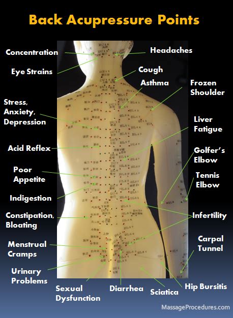 Acupressure - Traditional Asian Massage Technique | Massage therapy ...