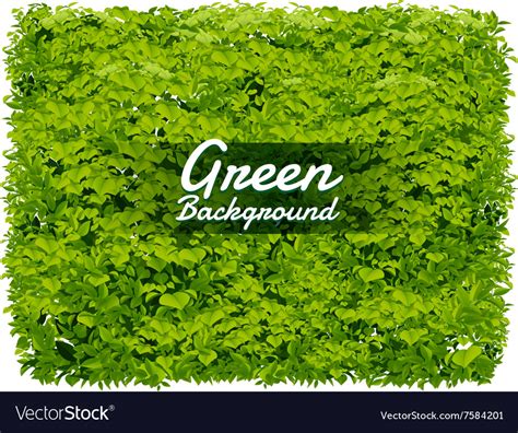 Leaf background texture Royalty Free Vector Image