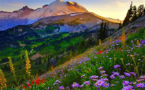 Mount Rainier HD desktop wallpaper : Widescreen : High Definition ...