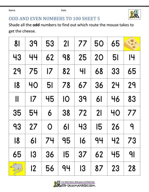 Odd and Even Numbers Worksheet