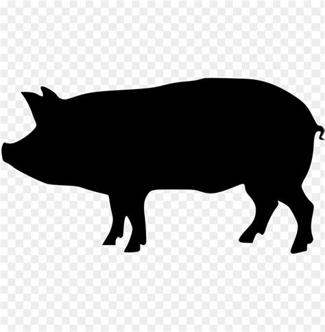 free PNG black pig PNG image with transparent background PNG images ...