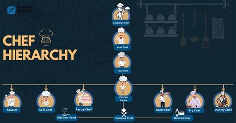 The Chef Hierarchy In The Kitchen: Types of Chef levels