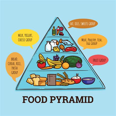 Food Pyramids 207560 Vector Art at Vecteezy