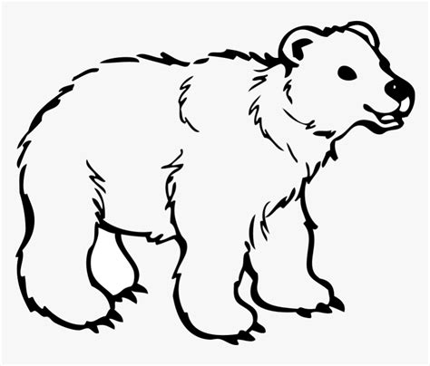 Polar Bear American Black Bear Brown Bear Drawing - Bear Clipart Black ...