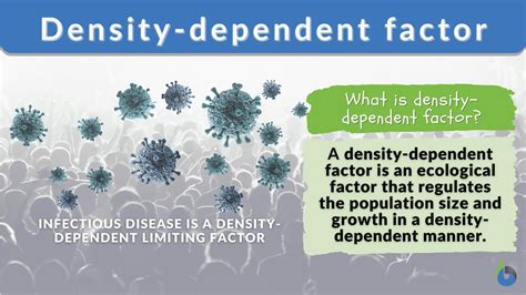 Density Dependent Factors - Biology Simple