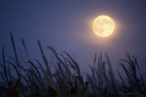 When and How to See October’s Full Harvest Moon in Fall 2020