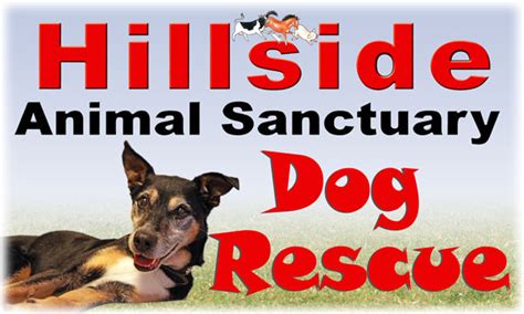 Hillside Dog Rescue