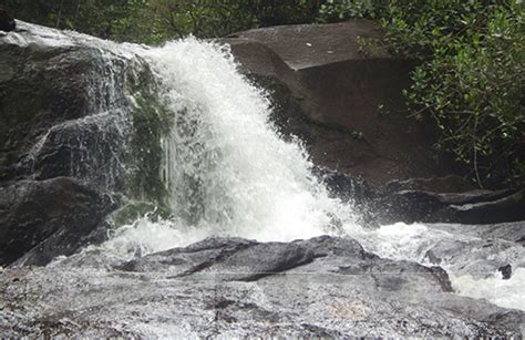 Hiking Expedition in the Amazon rainforest in French Guiana