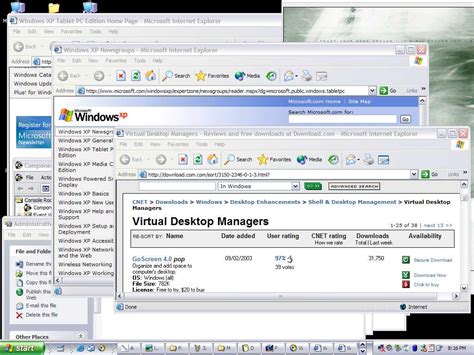 goScreen - Virtual Desktop Manager for Microsoft Windows