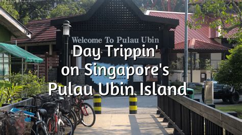 Pulau Ubin Island, Guide to Singapore's Unique Island Paradise