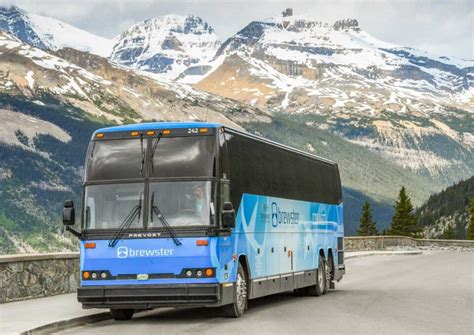 How to Get from the Calgary Airport to Banff: Transfer, Bus, or Rental Car