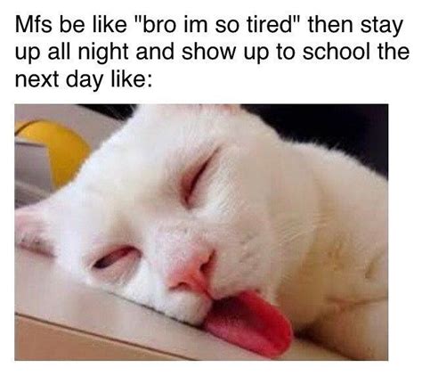 Top Funniest Sleep Memes: Take Your Portion of Good Laugh