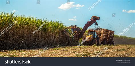 2,953 Sugar alcohol industry Images, Stock Photos & Vectors | Shutterstock