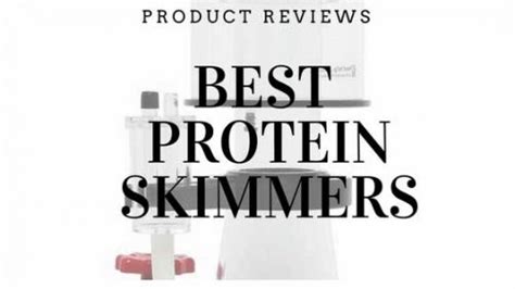 Best protein skimmer: description, reviews [updated 2022]