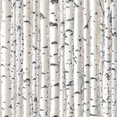 Muriva Wallpaper | Trees - Silver Birch | Lancashire Wallpaper and ...