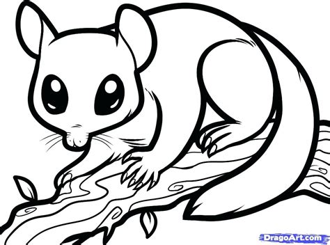 Opossum Coloring Page at GetColorings.com | Free printable colorings ...