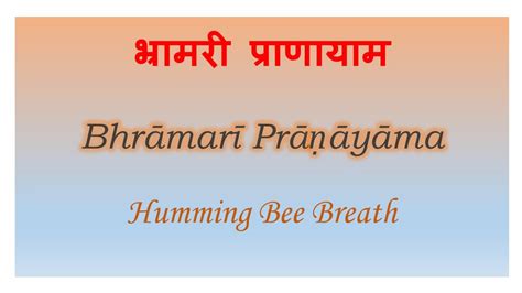 Bhramari Pranayama Meaning, Steps, Benefits | Classic Yoga