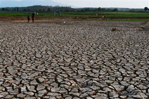 Musim Kemarau di Sulawesi Utara Diprediksi Mulai Terjadi pada Juni ...