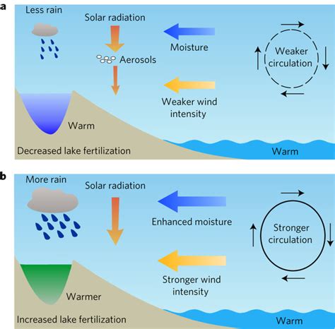 Aerosol-weakened summer monsoons decrease lake fertilization on the ...