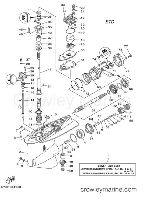 LOWER CASING DRIVE 1 F250 - 2006 Outboard 250hp F250TUR | Crowley Marine