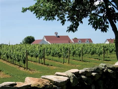 Tour and Sample New England Wineries - Uncorked