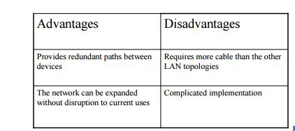 network topology types