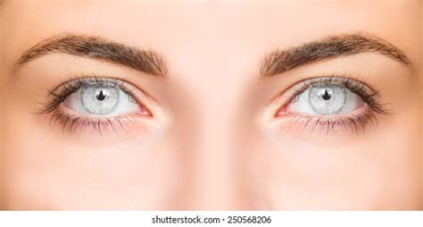 Grey Eyes Stock Photos and Pictures - 1,250,294 Images | Shutterstock