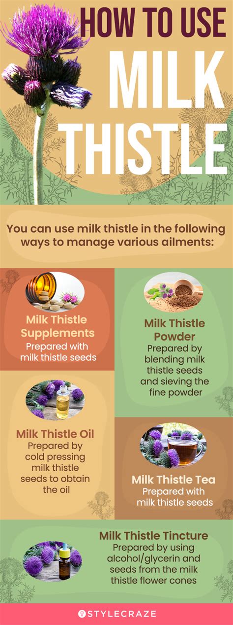 Milk Thistle Benefits