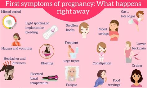 First signs you might be pregnant - Pregnancy Tips