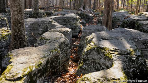 Stones River National Battlefield | TOUR STOP 2: SLAUGHTER PEN ...